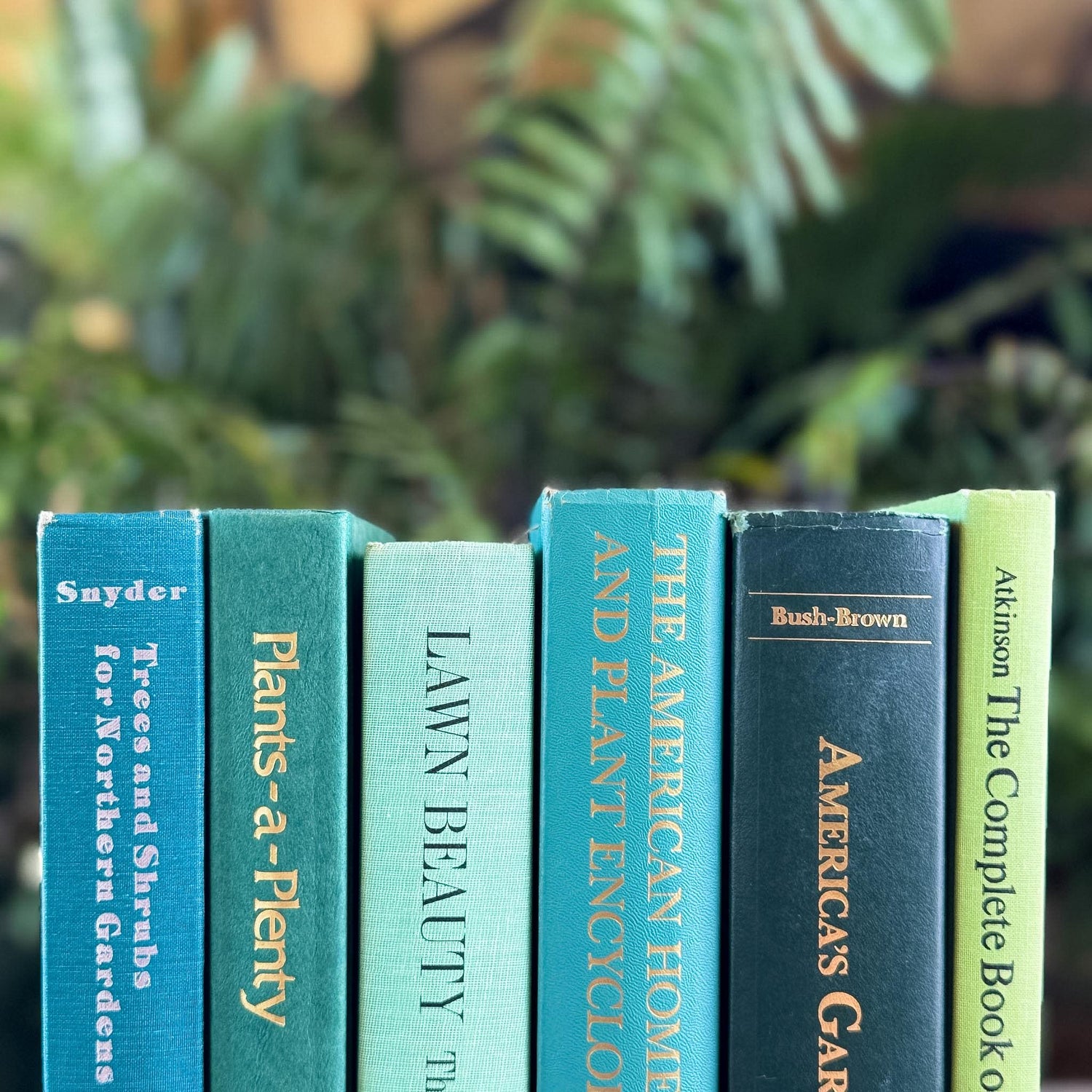 Vintage Large Green Gardening Book Bundle - Pretty Old Books