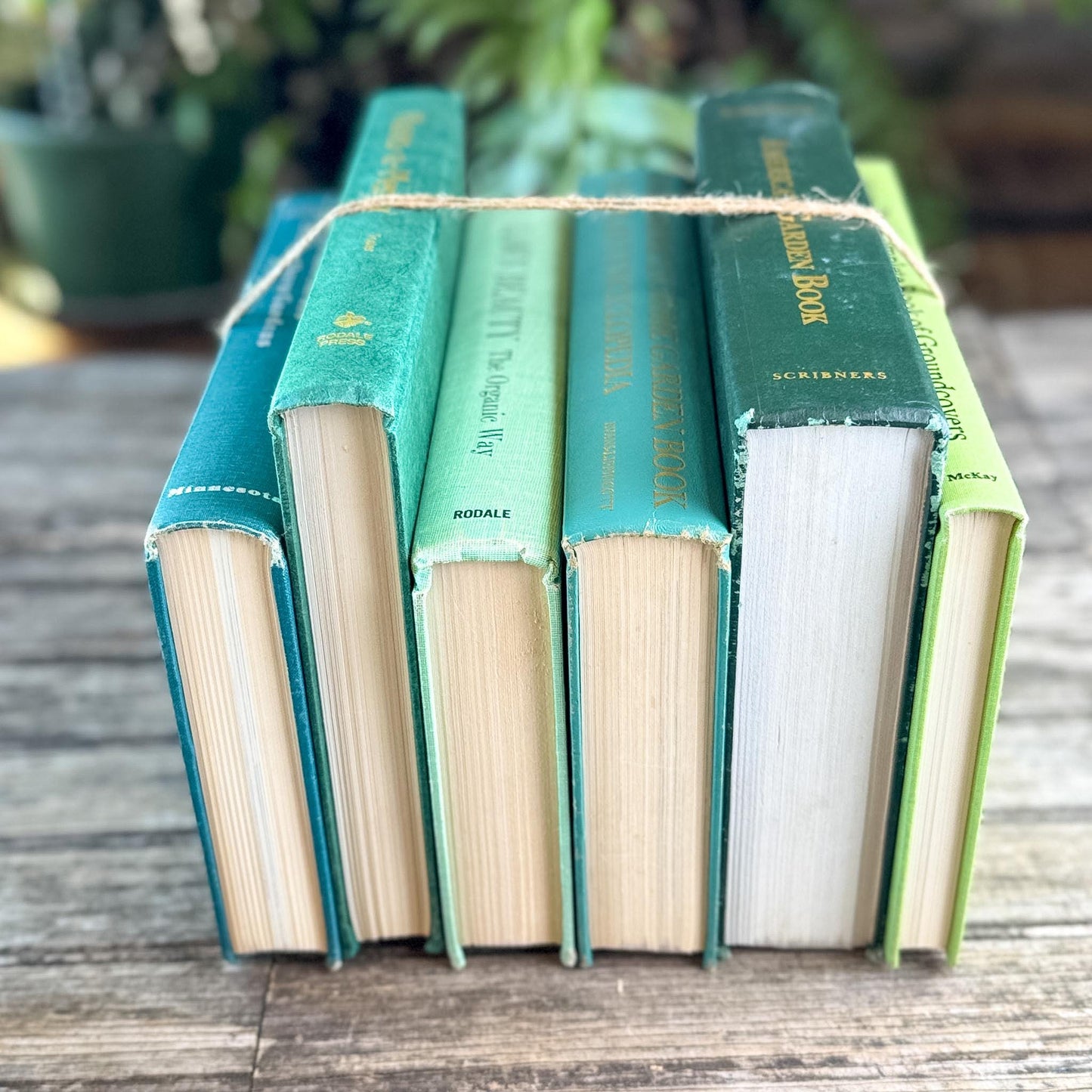 Vintage Large Green Gardening Book Bundle - Pretty Old Books