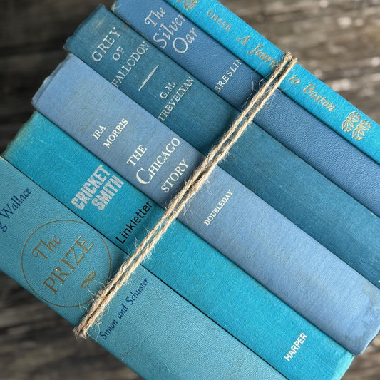 Vintage Mid - Century Aqua and Light Blue Books for Shelf Styling - Pretty Old Books
