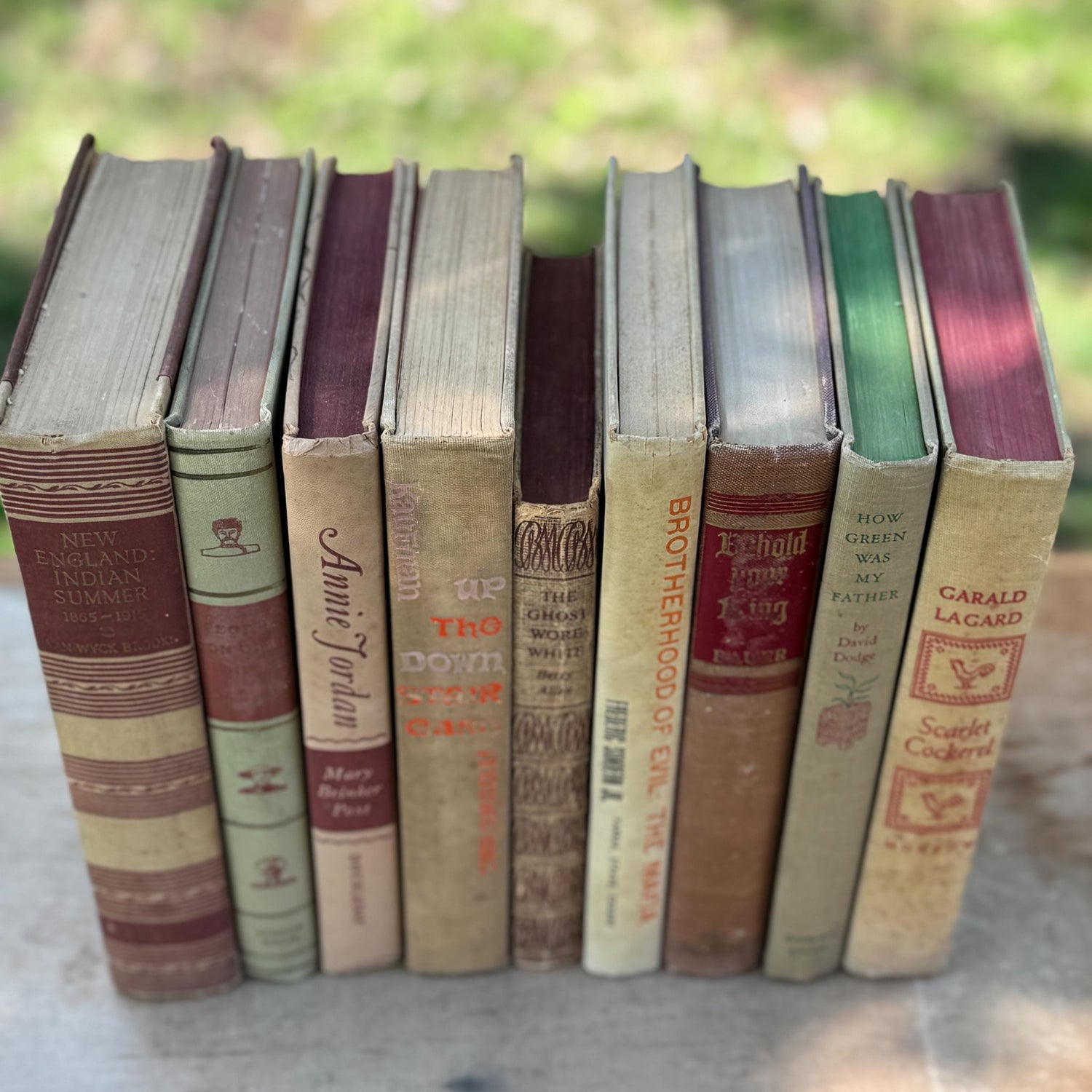 Vintage Mid - Century Beige and Red Book Bundle For Neutral Shelf Styling - Pretty Old Books