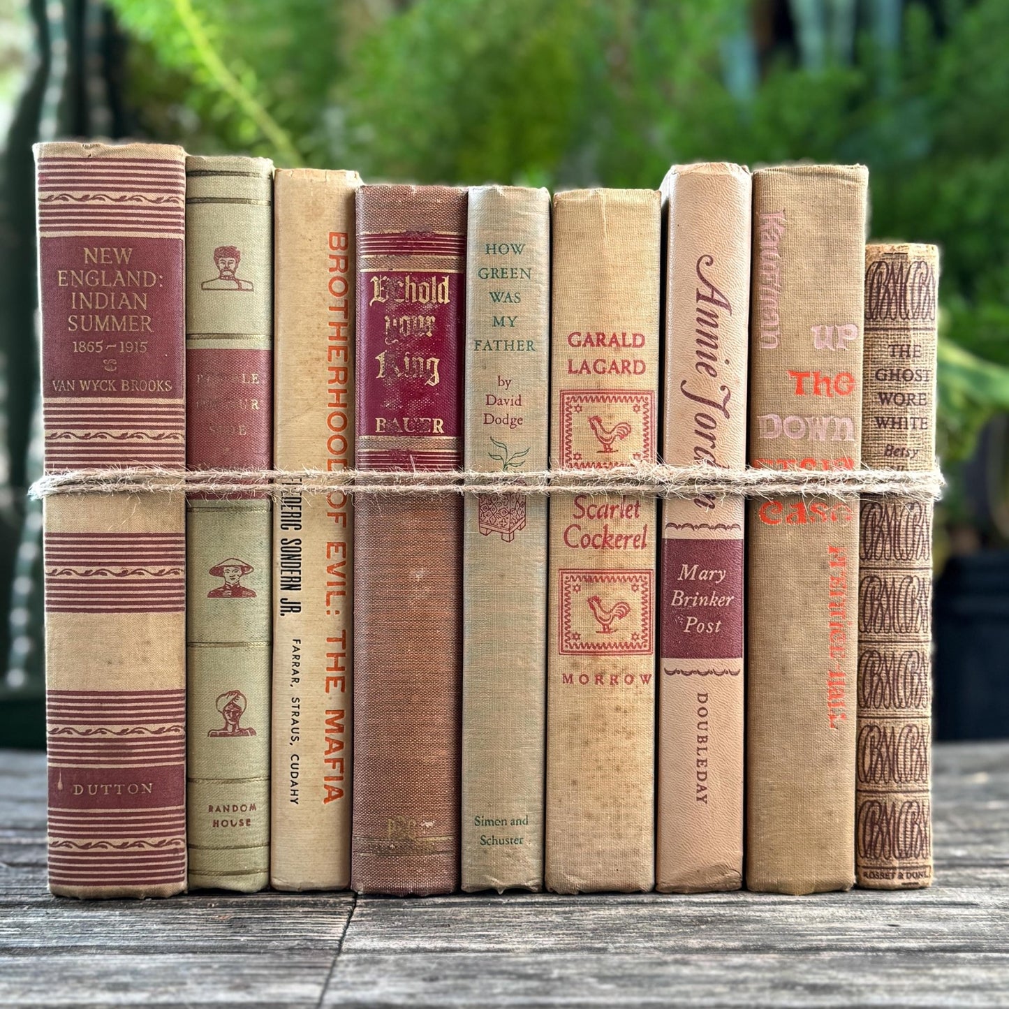 Vintage Mid - Century Beige and Red Book Bundle For Neutral Shelf Styling - Pretty Old Books