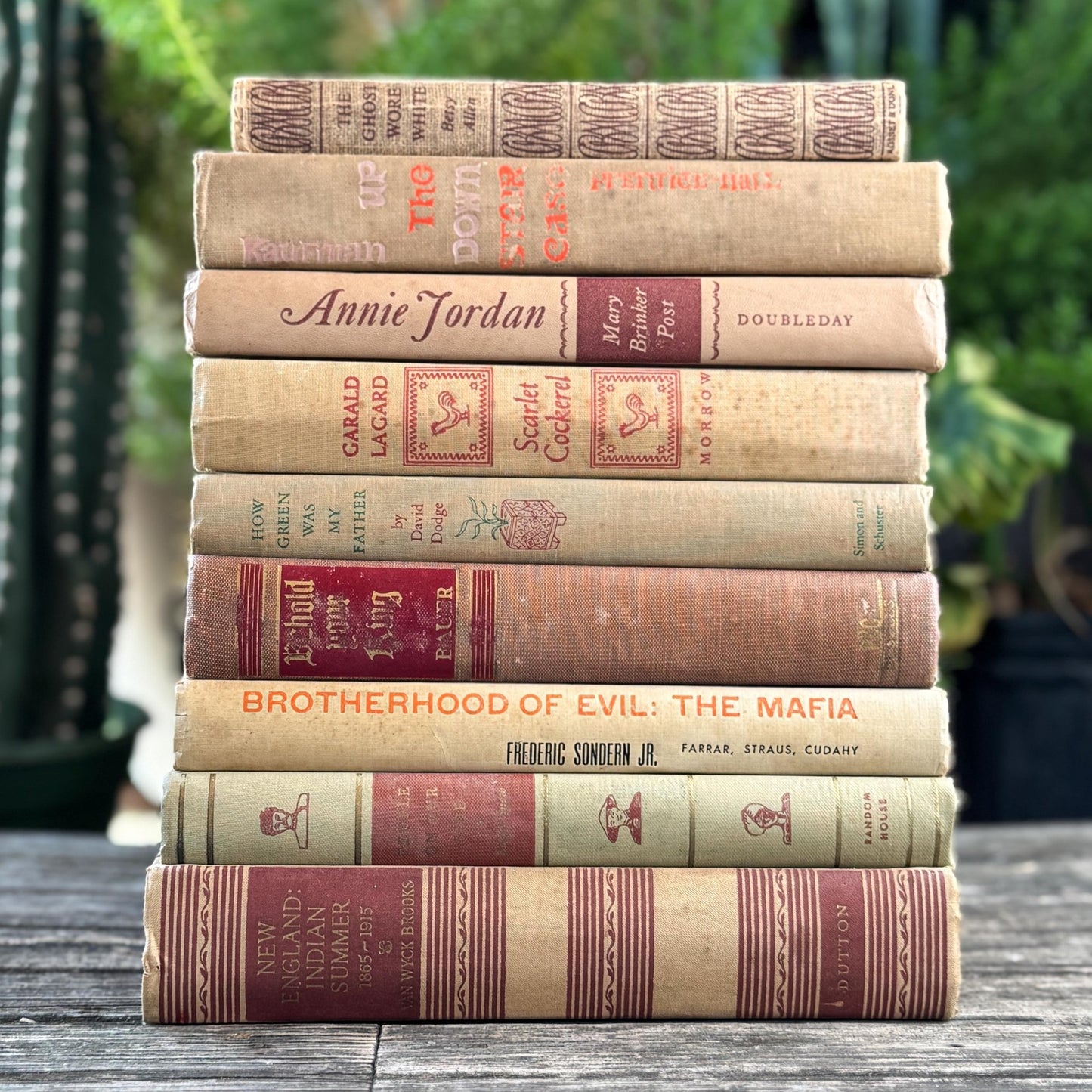 Vintage Mid - Century Beige and Red Book Bundle For Neutral Shelf Styling - Pretty Old Books