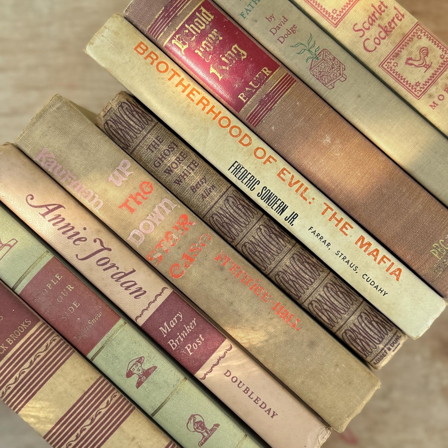 Vintage Mid - Century Beige and Red Book Bundle For Neutral Shelf Styling - Pretty Old Books
