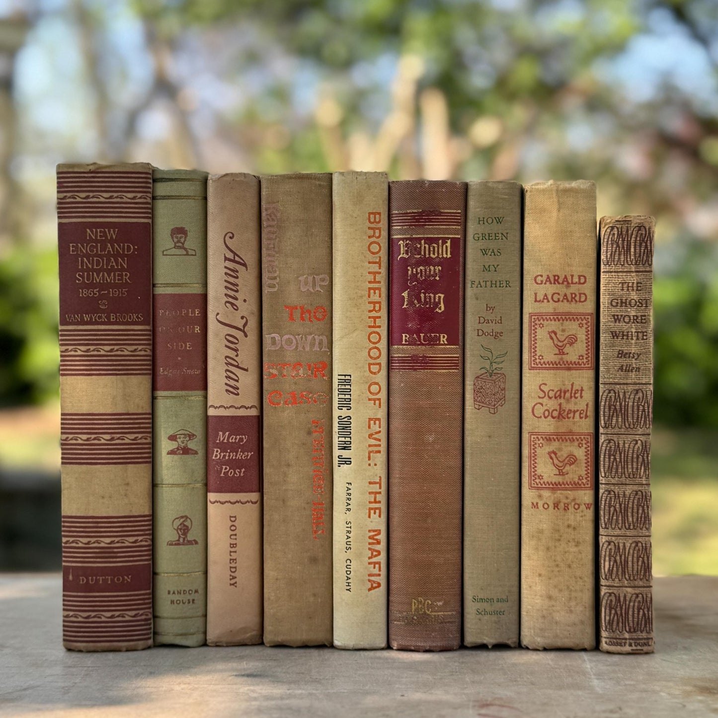 Vintage Mid - Century Beige and Red Book Bundle For Neutral Shelf Styling - Pretty Old Books