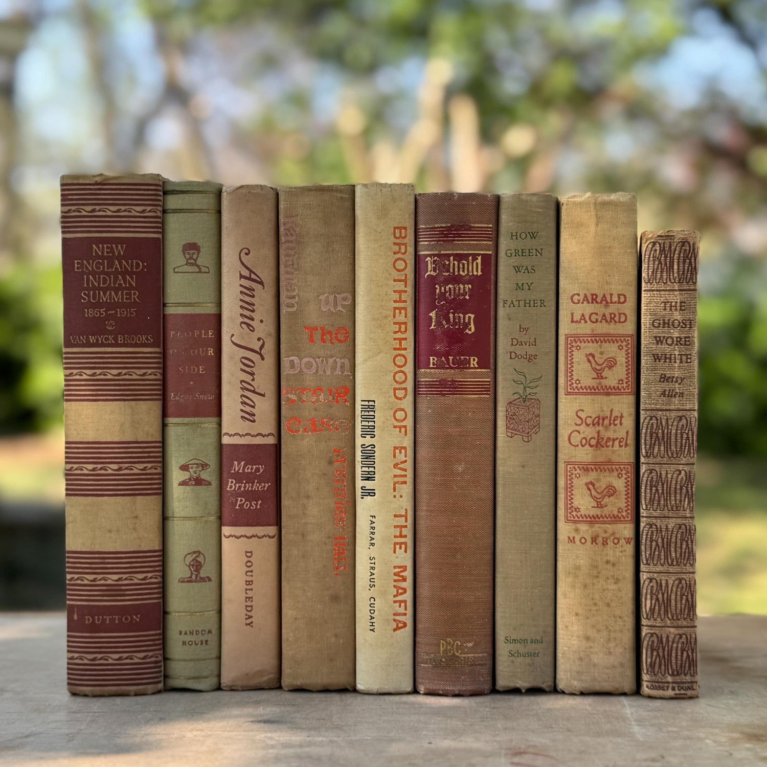Vintage Mid - Century Beige and Red Book Bundle For Neutral Shelf Styling - Pretty Old Books
