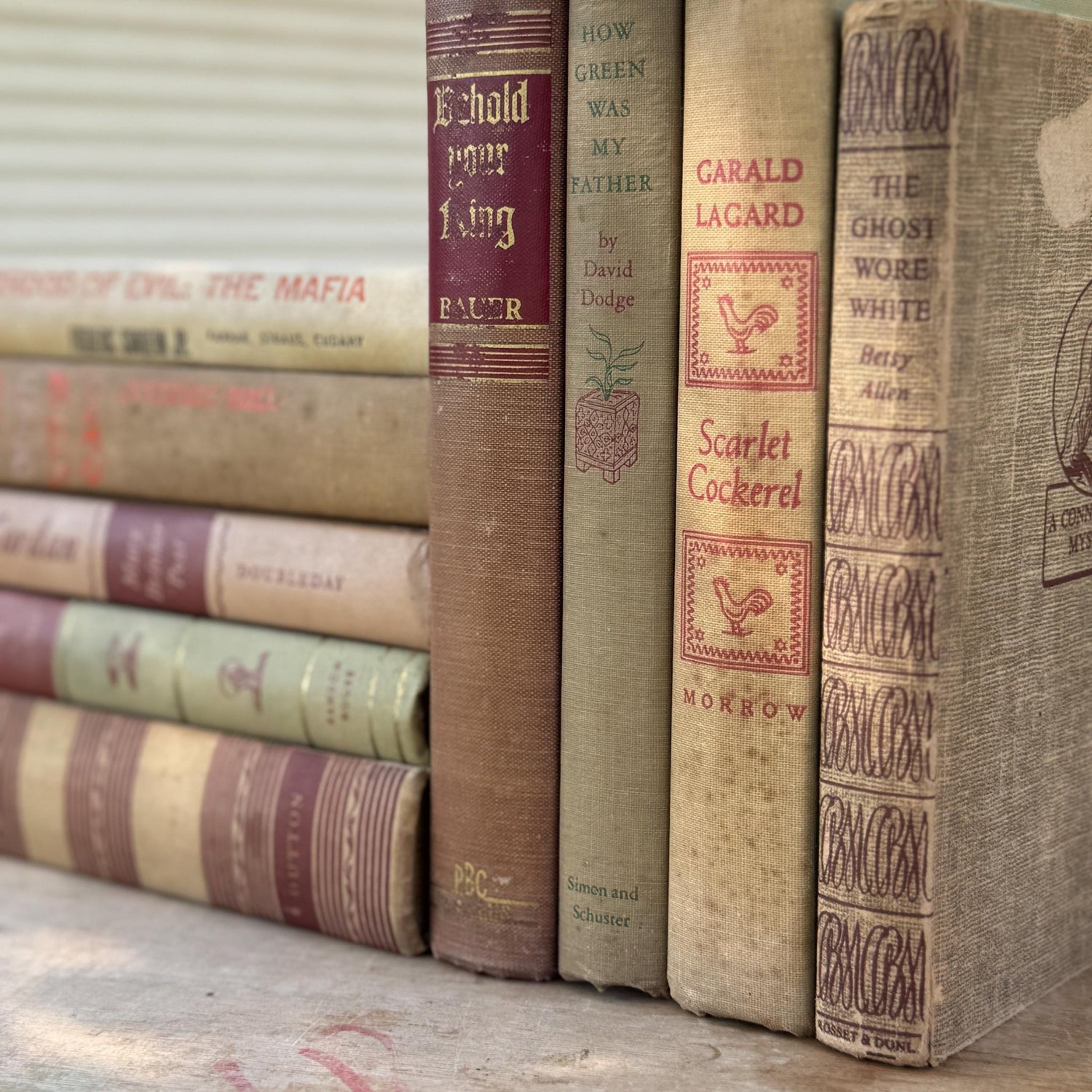 Vintage Mid - Century Beige and Red Book Bundle For Neutral Shelf Styling - Pretty Old Books