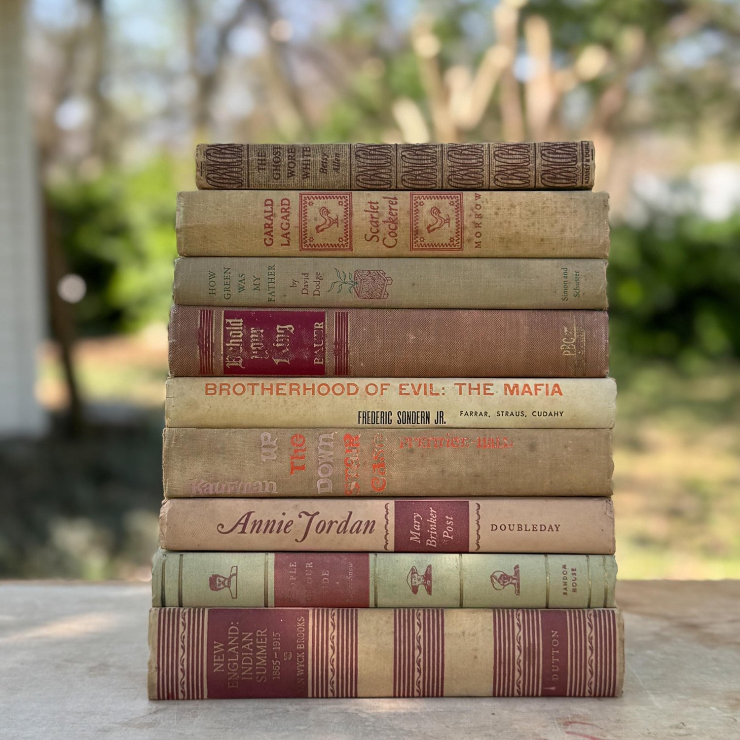 Vintage Mid - Century Beige and Red Book Bundle For Neutral Shelf Styling - Pretty Old Books