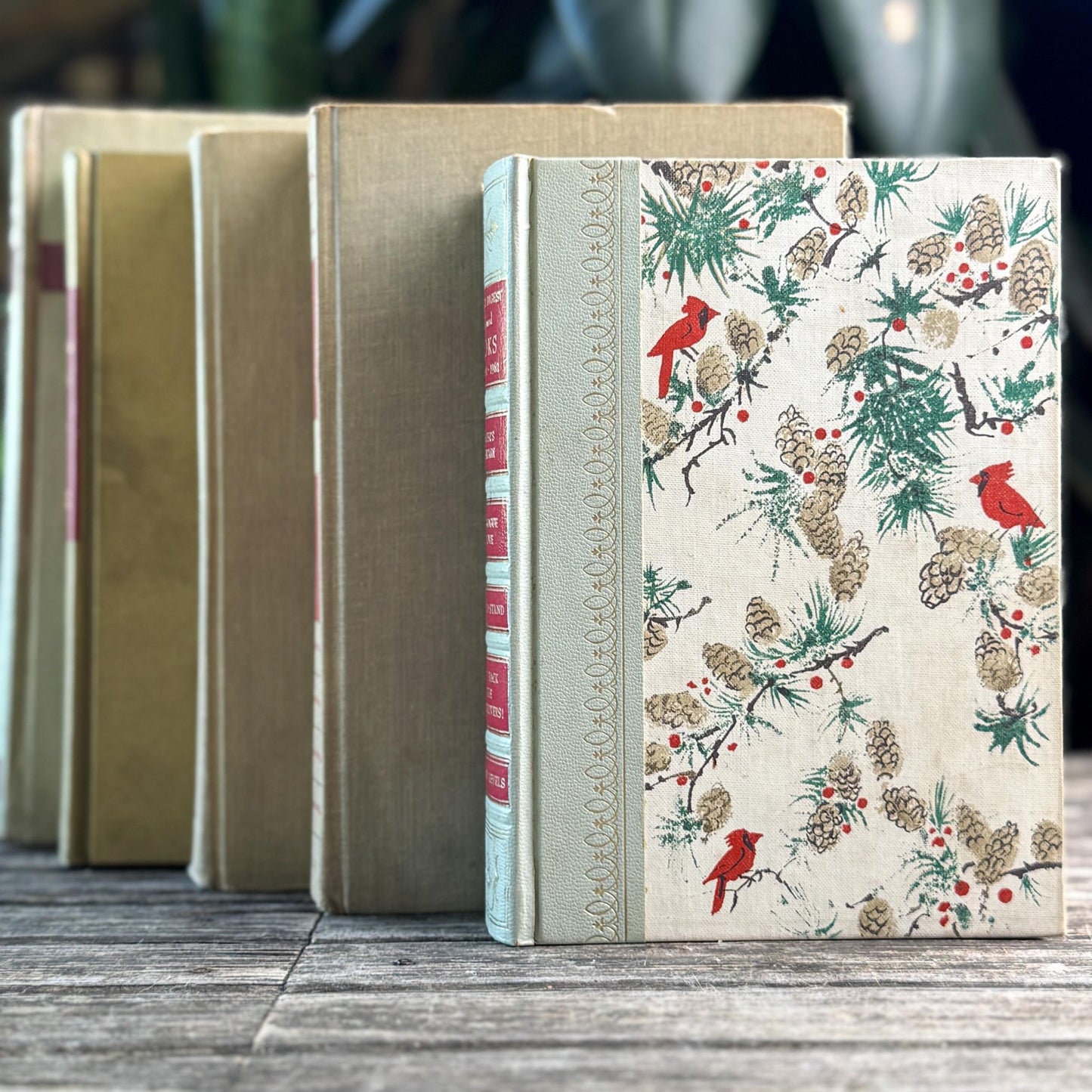Vintage Mid Century Book Bundle in Beige and Red - Pretty Old Books