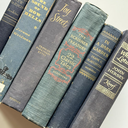 Vintage Mid Century Denim Blue Vintage Book Bundle - Pretty Old Books