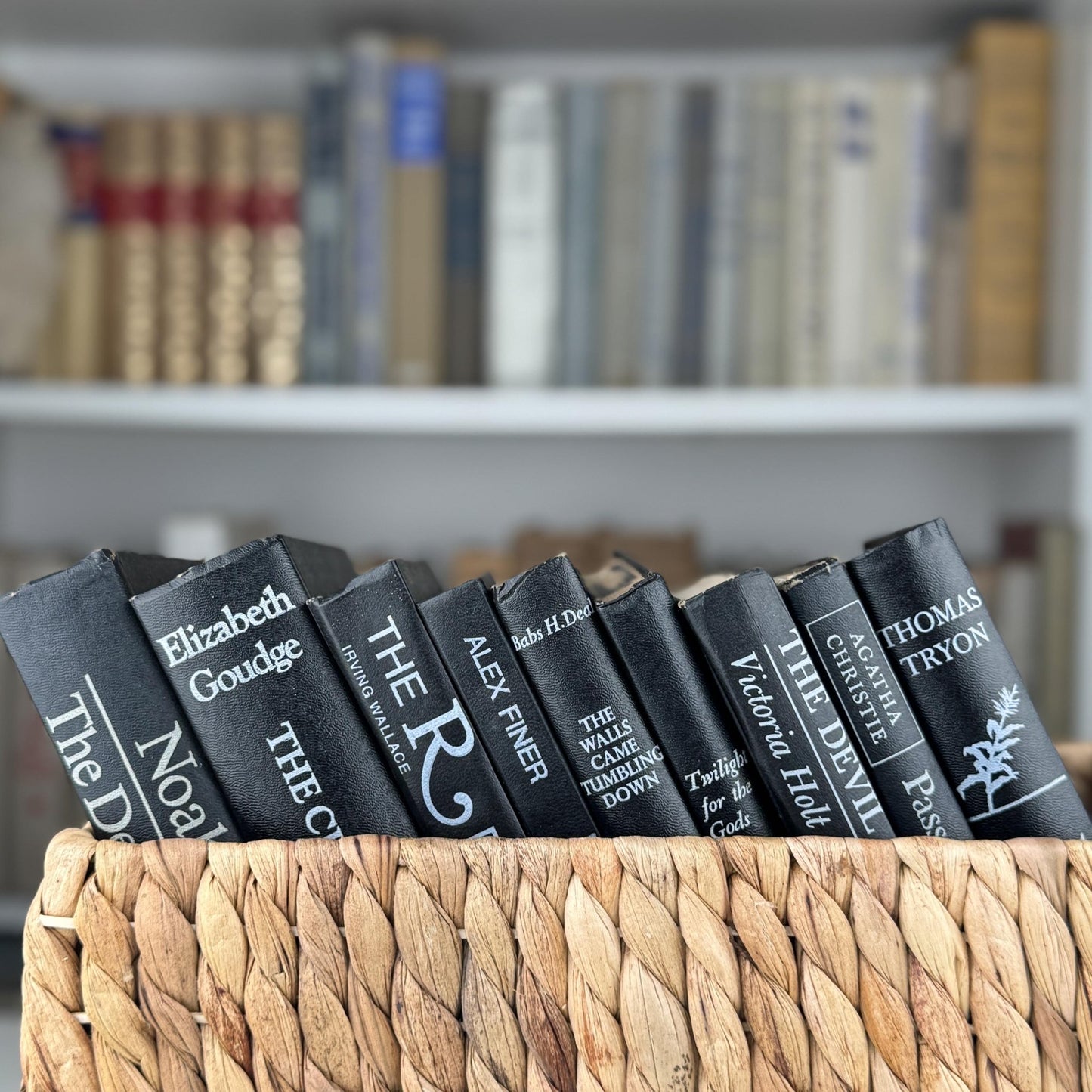 Vintage Mid Century Modern Black Books and White Lettering for Bookshelf Decor - Pretty Old Books