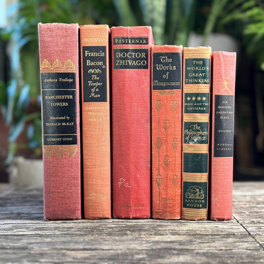 Vintage Mid - Century Modern Coral Red and Black Books for Shelf Styling - Pretty Old Books