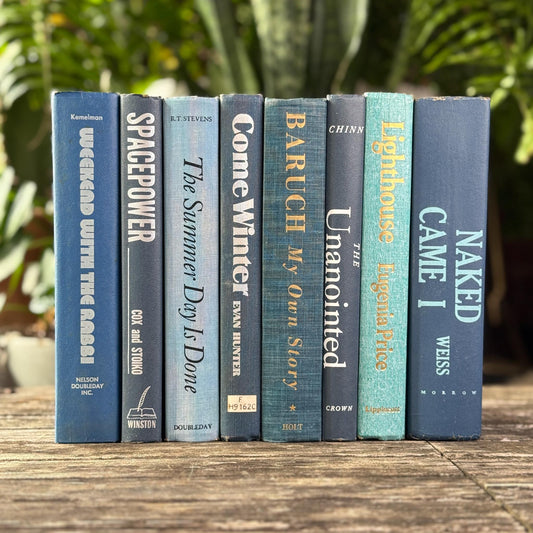 Vintage Mixed Blue Decorative Book Bundle with Fun Lettering - Pretty Old Books