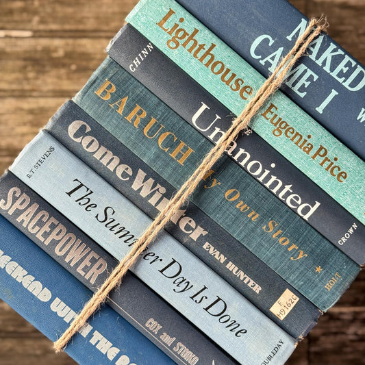 Vintage Mixed Blue Decorative Book Bundle with Fun Lettering - Pretty Old Books