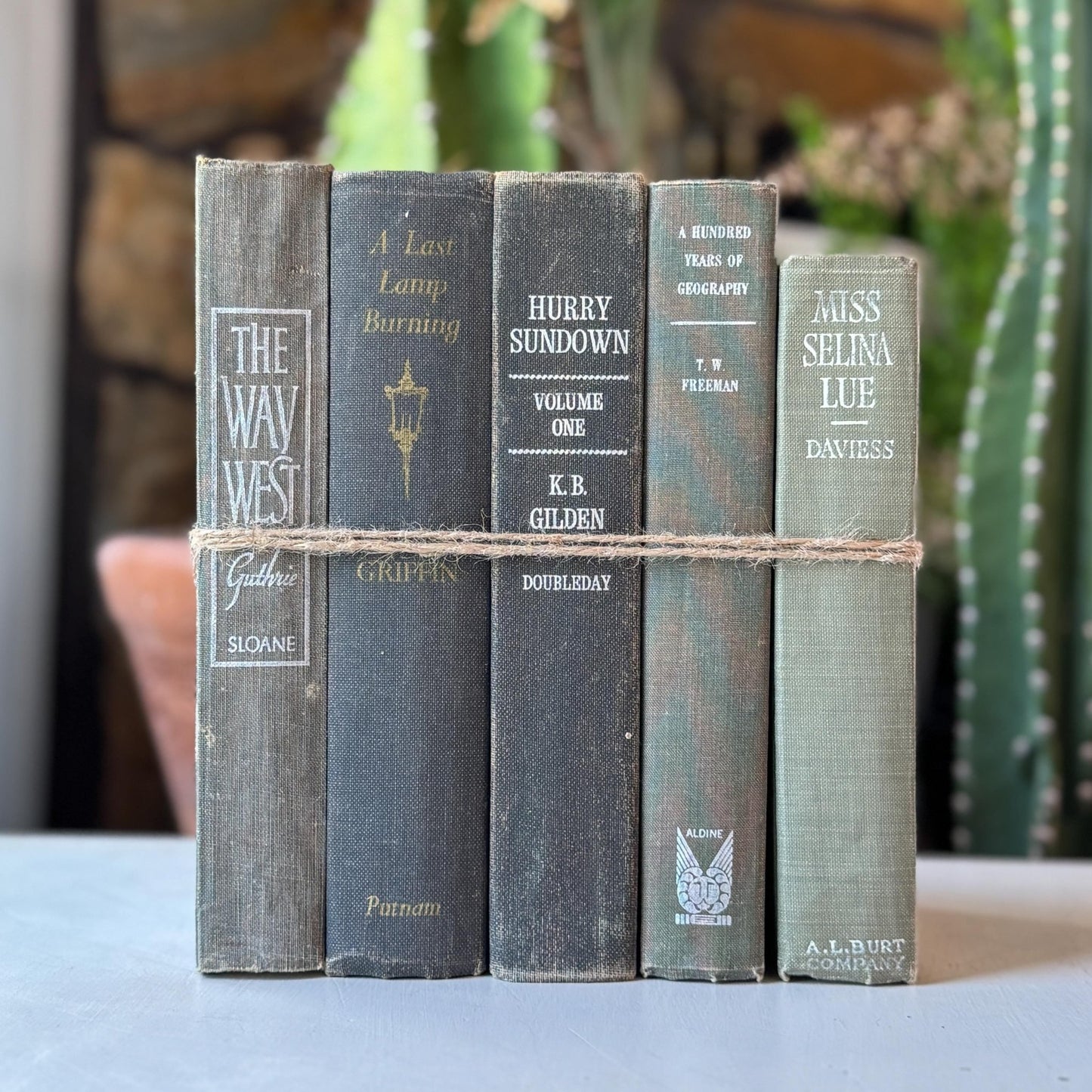Vintage Mixed Gray Mid Century Books for Shelf Styling - Pretty Old Books