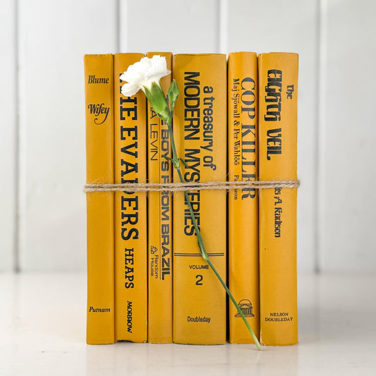 Vintage Mustard Goldenrod Yellow and Black Book Set for Retro 1970s Shelf Styling - Pretty Old Books