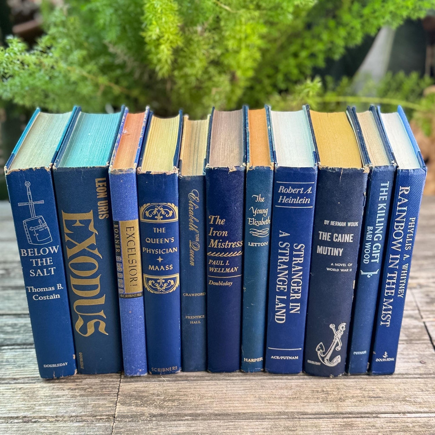 Vintage Navy Blue Book Set for Shelf Styling - Pretty Old Books