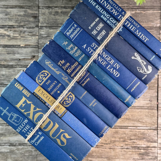 Vintage Navy Blue Book Set for Shelf Styling - Pretty Old Books