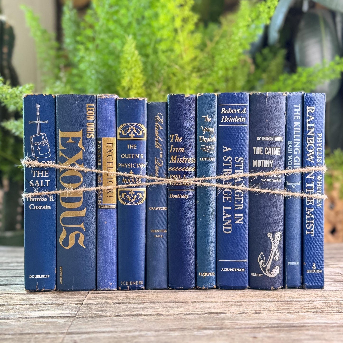 Vintage Navy Blue Book Set for Shelf Styling - Pretty Old Books