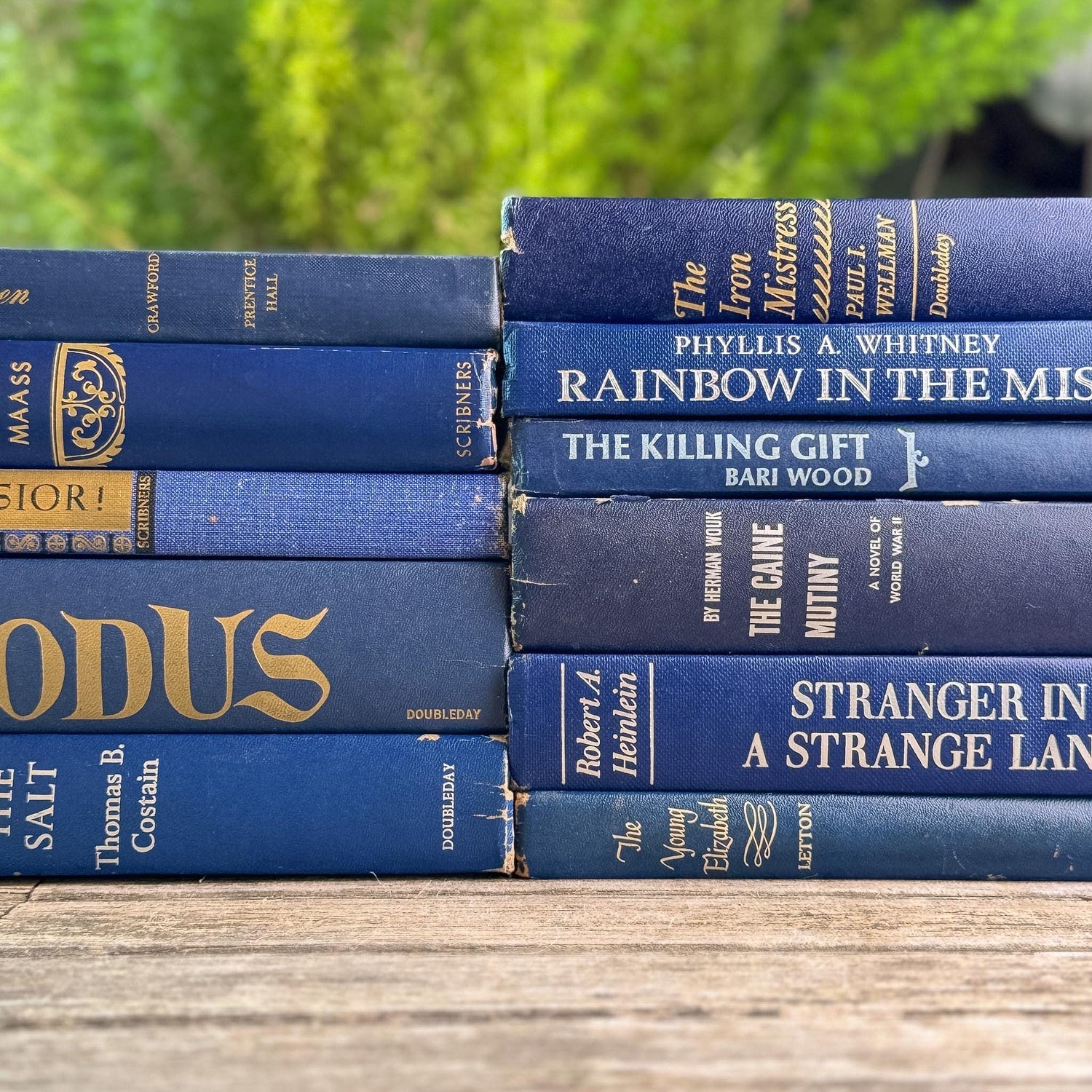 Vintage Navy Blue Book Set for Shelf Styling - Pretty Old Books