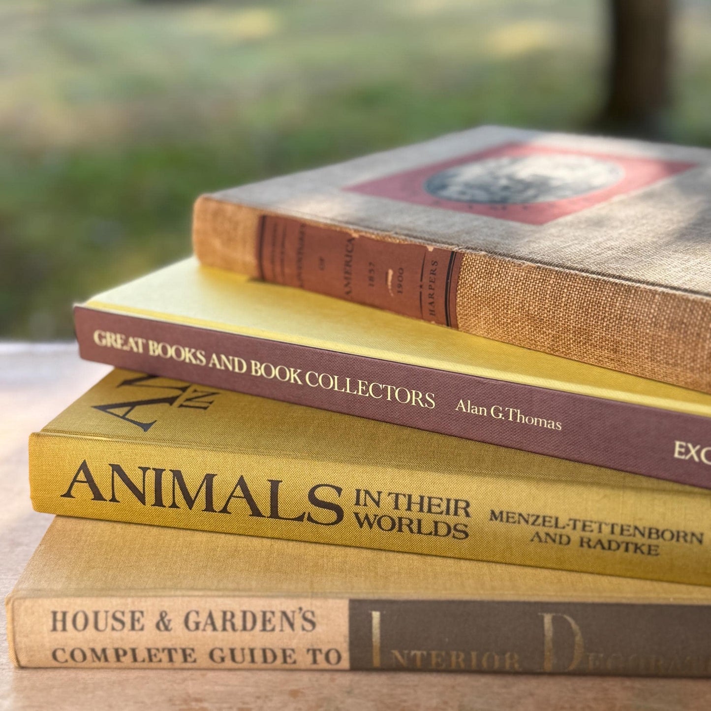 Vintage Neutral Coffee Table Book Bundle in Taupe, Brown, and Goldenrod - Pretty Old Books