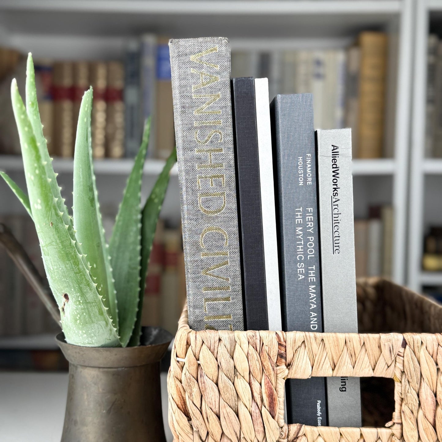 Vintage Neutral Gray Black White Coffee Table Book Bundle - Pretty Old Books