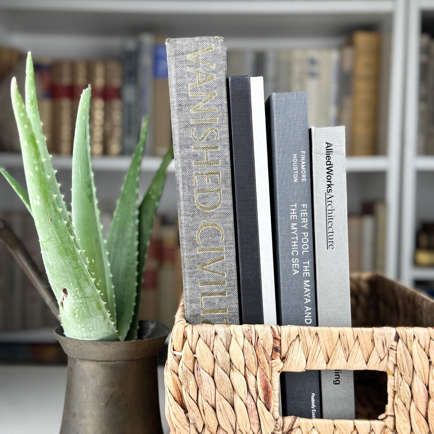 Vintage Neutral Gray Black White Coffee Table Book Bundle - Pretty Old Books