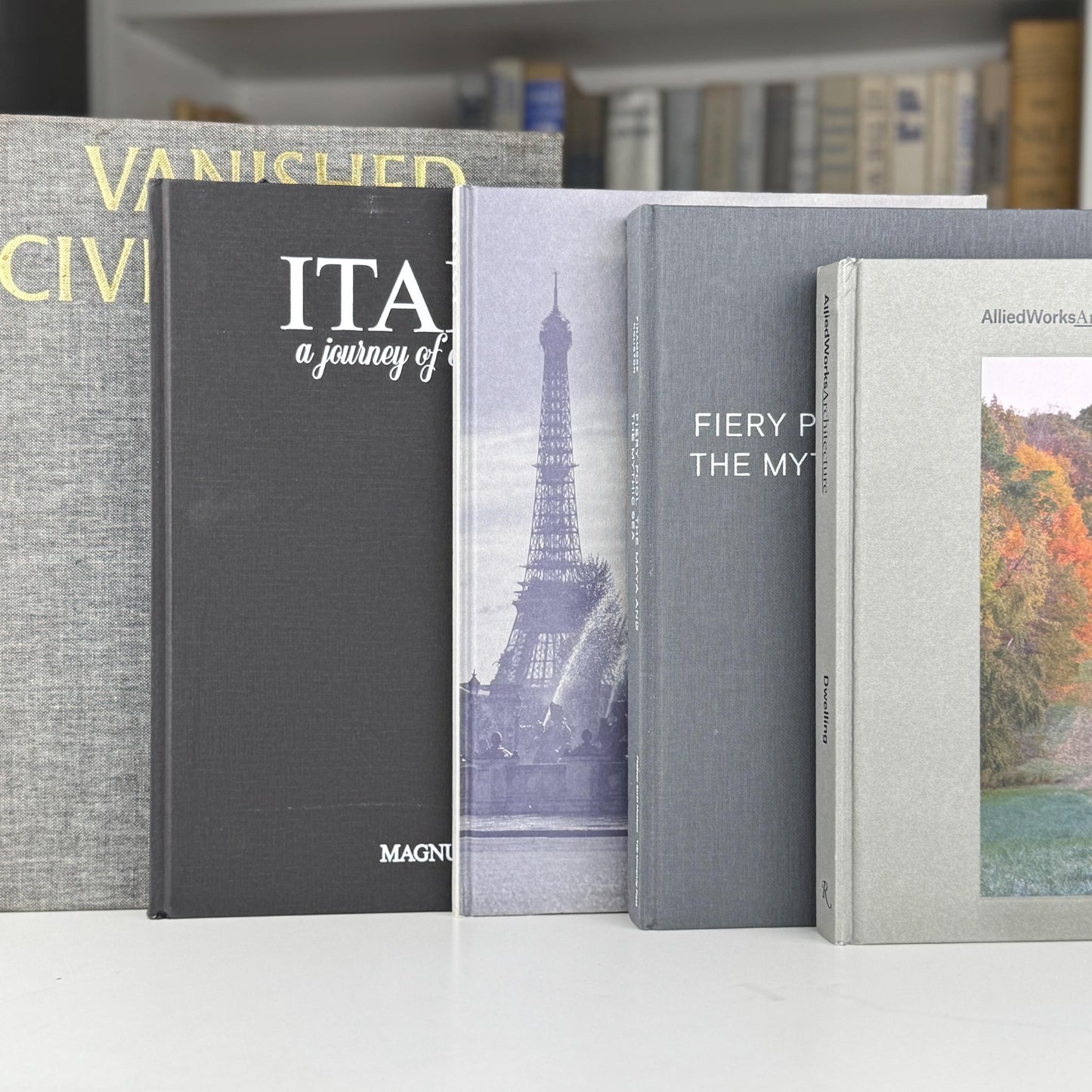 Vintage Neutral Gray Black White Coffee Table Book Bundle - Pretty Old Books