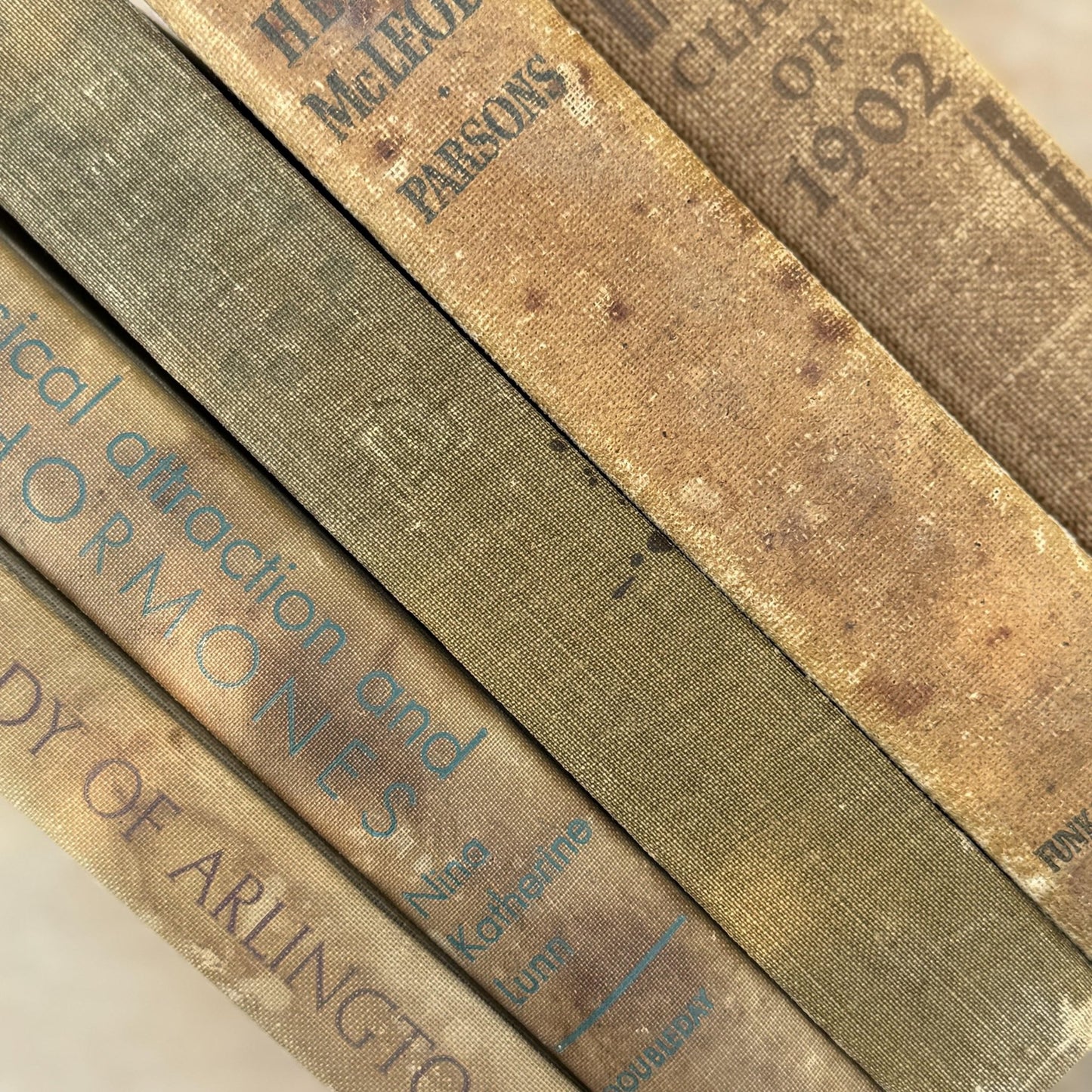 Vintage Neutral Shabby Book Bundle - Pretty Old Books