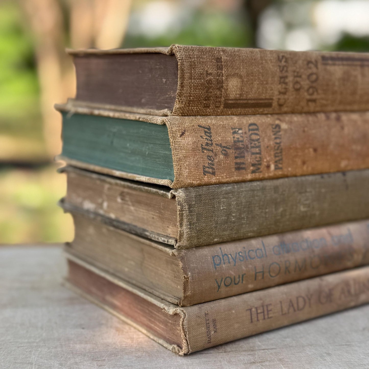 Vintage Neutral Shabby Book Bundle - Pretty Old Books