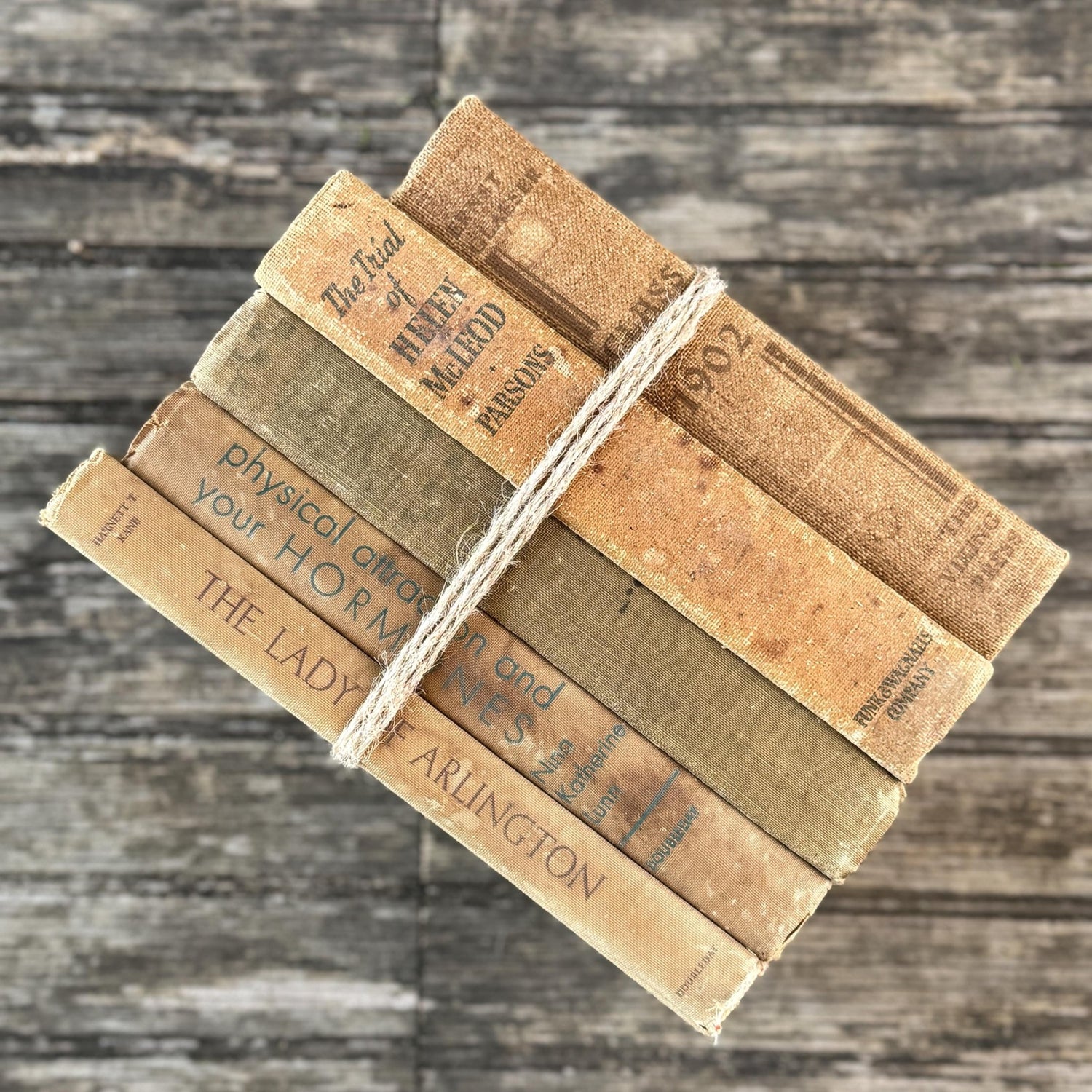 Vintage Neutral Shabby Book Bundle - Pretty Old Books