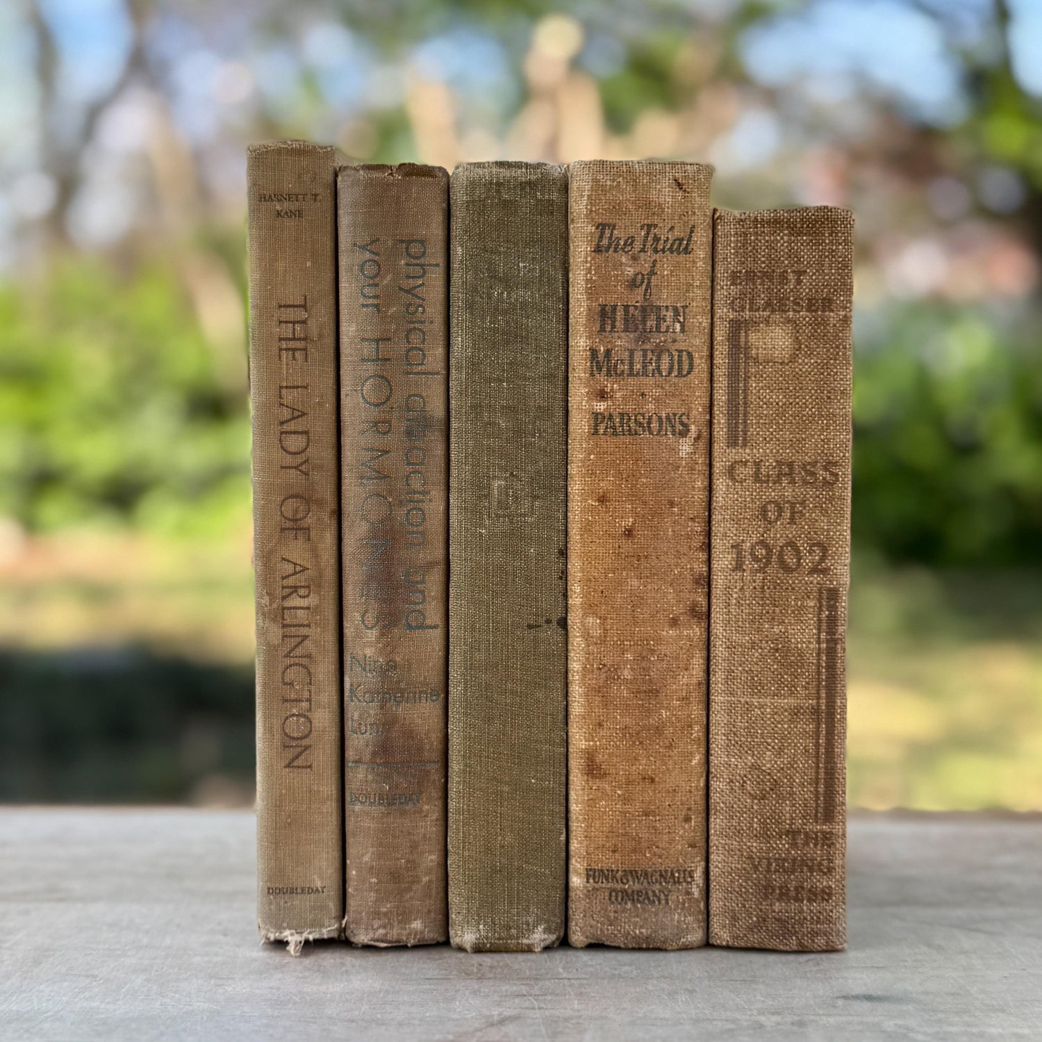 Vintage Neutral Shabby Book Bundle - Pretty Old Books