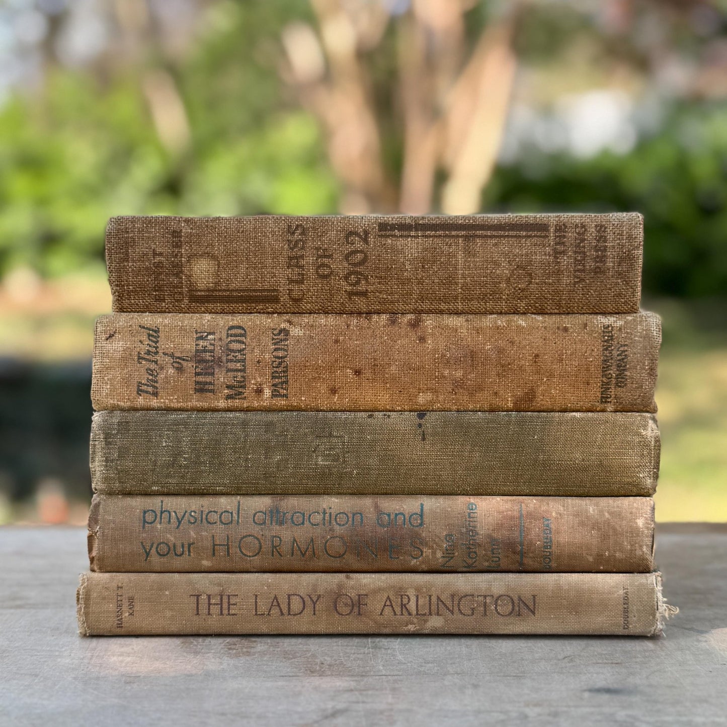 Vintage Neutral Shabby Book Bundle - Pretty Old Books