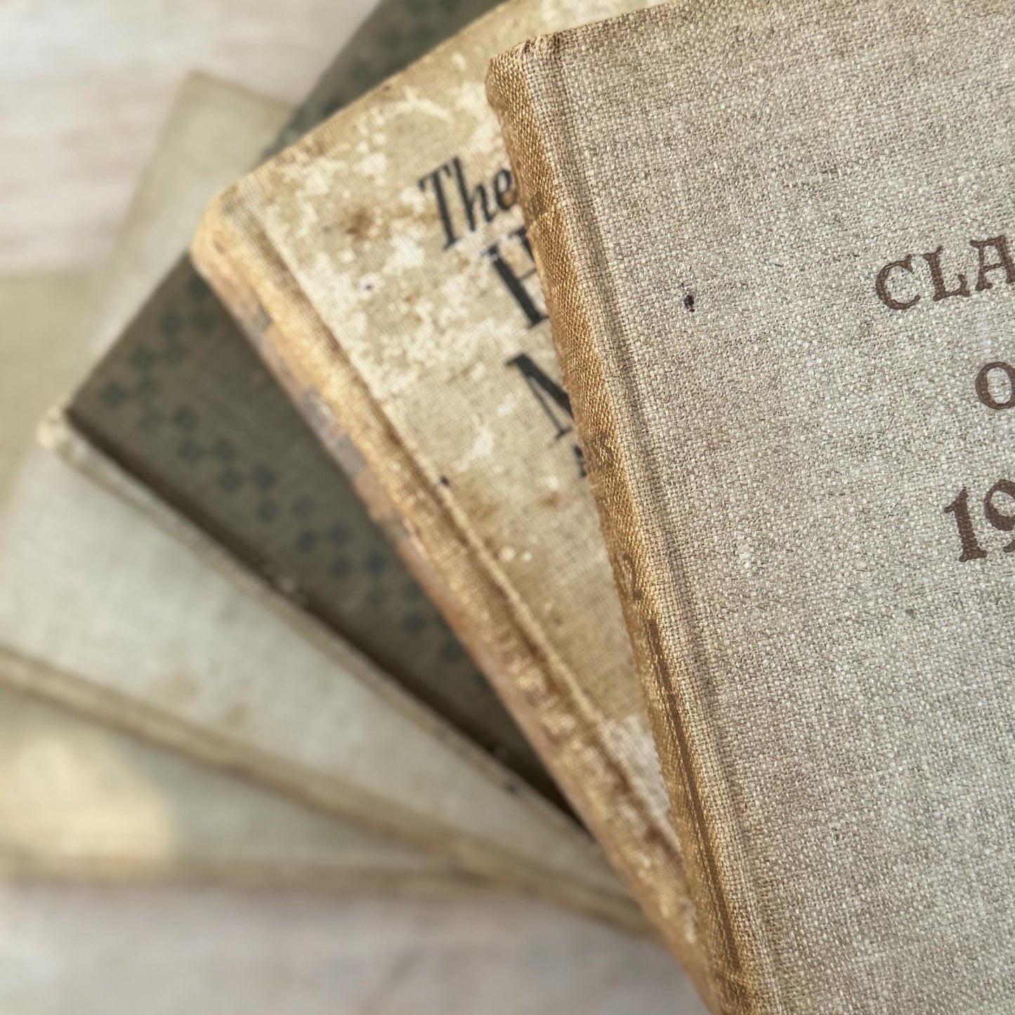 Vintage Neutral Shabby Book Bundle - Pretty Old Books