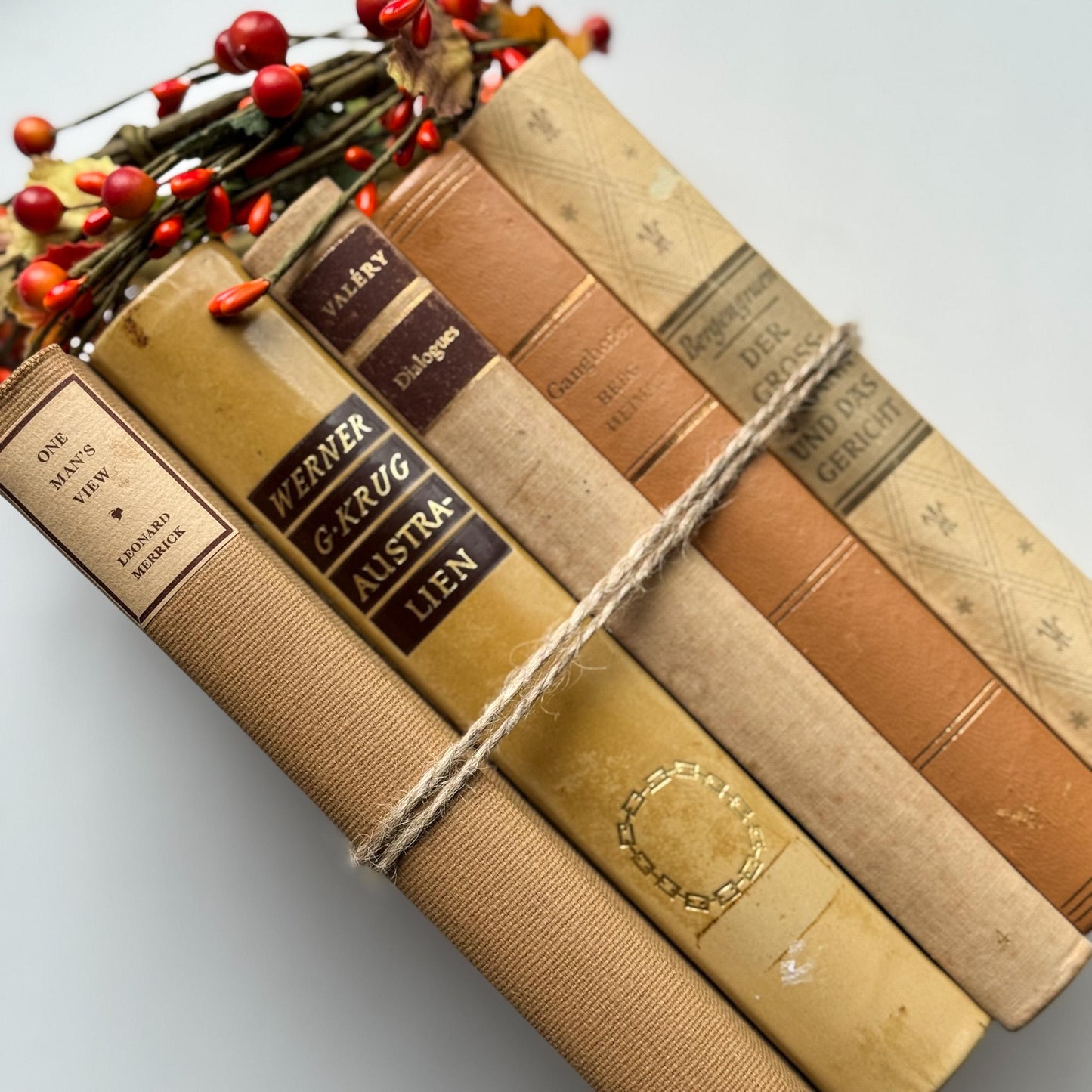 Vintage Neutral Tan Minimalist European and American Book Set for Bookshelf Decor - Pretty Old Books