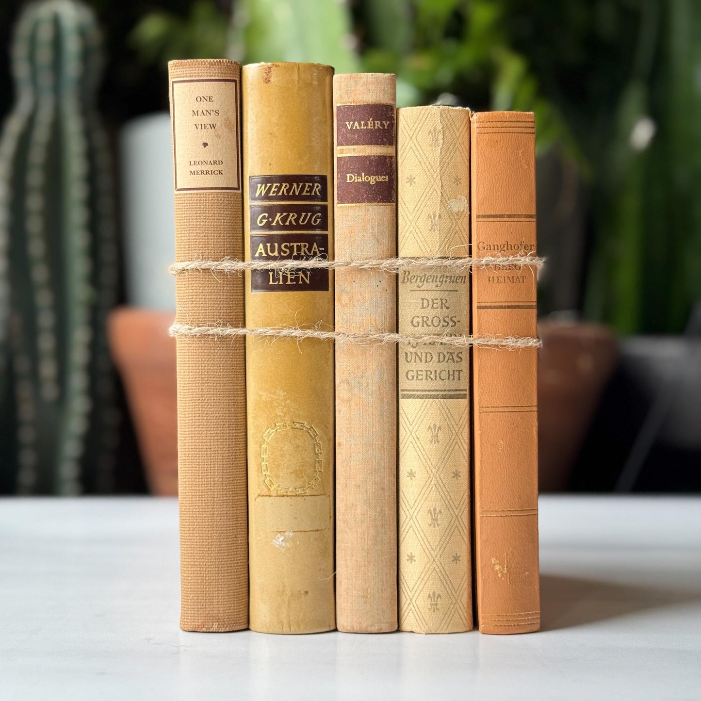 Vintage Neutral Tan Minimalist European and American Book Set for Bookshelf Decor - Pretty Old Books