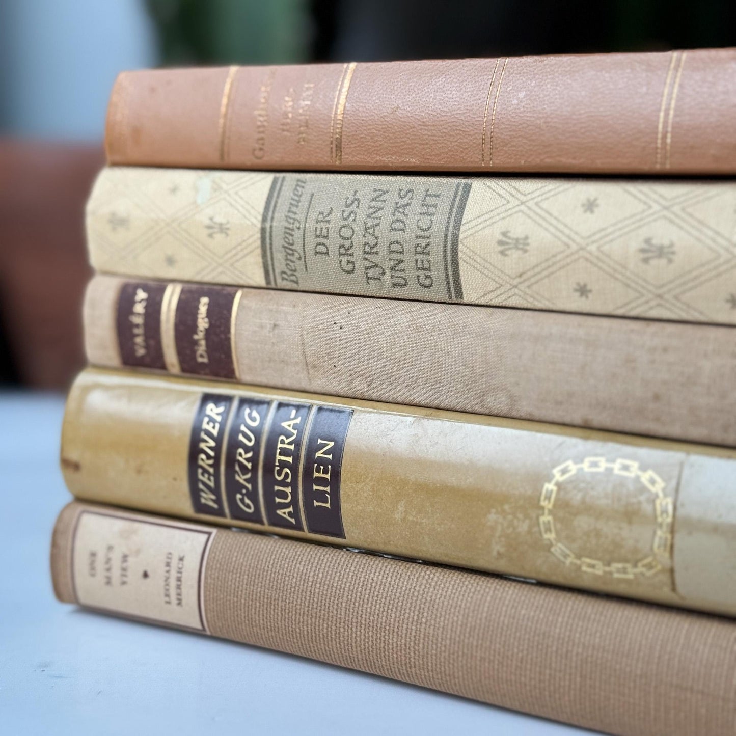 Vintage Neutral Tan Minimalist European and American Book Set for Bookshelf Decor - Pretty Old Books
