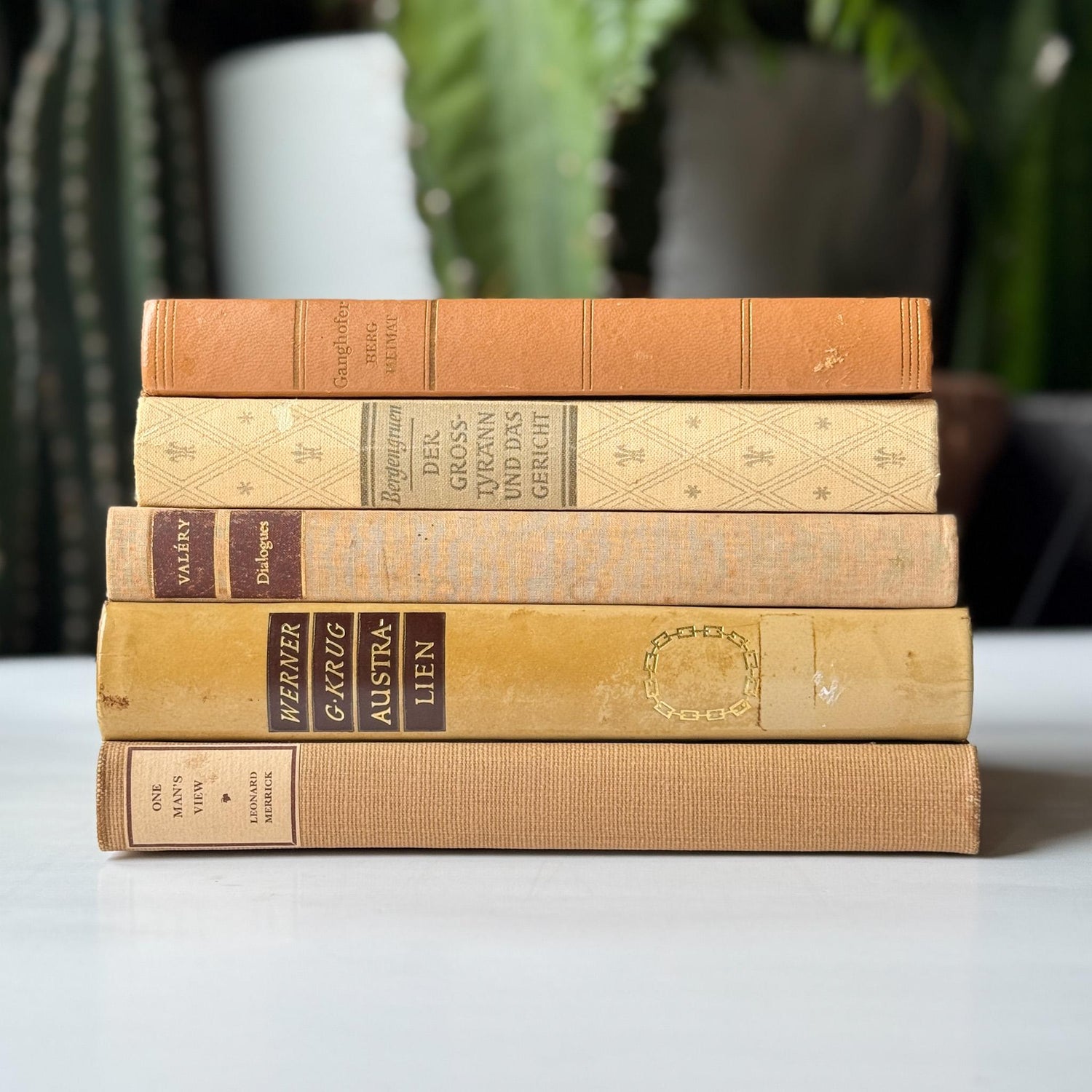 Vintage Neutral Tan Minimalist European and American Book Set for Bookshelf Decor - Pretty Old Books