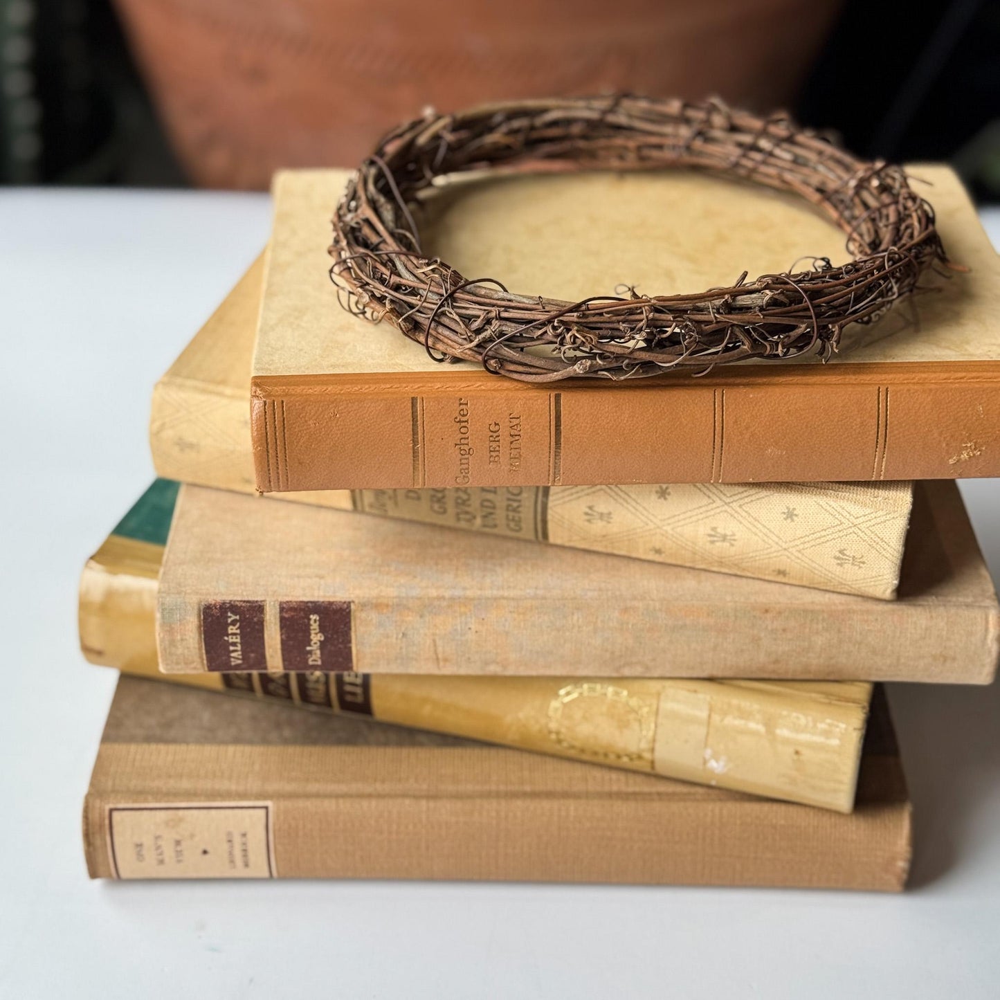 Vintage Neutral Tan Minimalist European and American Book Set for Bookshelf Decor - Pretty Old Books