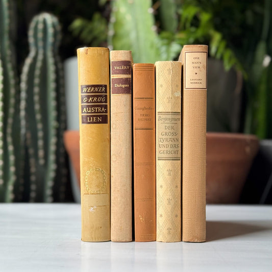 Vintage Neutral Tan Minimalist European and American Book Set for Bookshelf Decor - Pretty Old Books