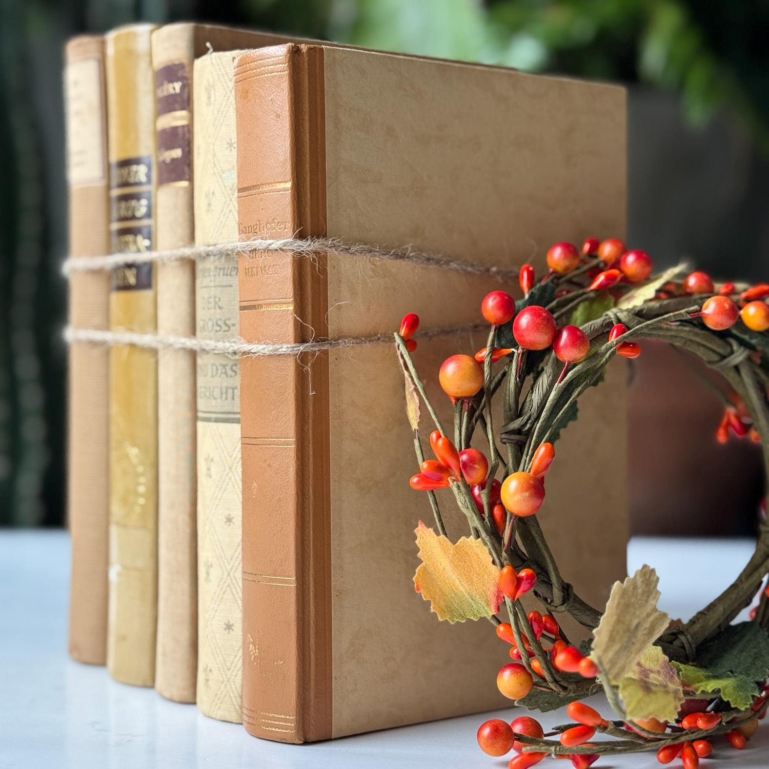 Vintage Neutral Tan Minimalist European and American Book Set for Bookshelf Decor - Pretty Old Books
