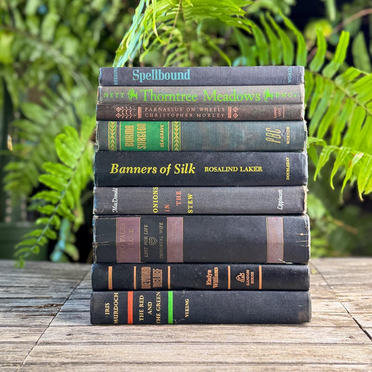 Vintage Old Black Books With Colorful Accents for Shelf Styling - Pretty Old Books