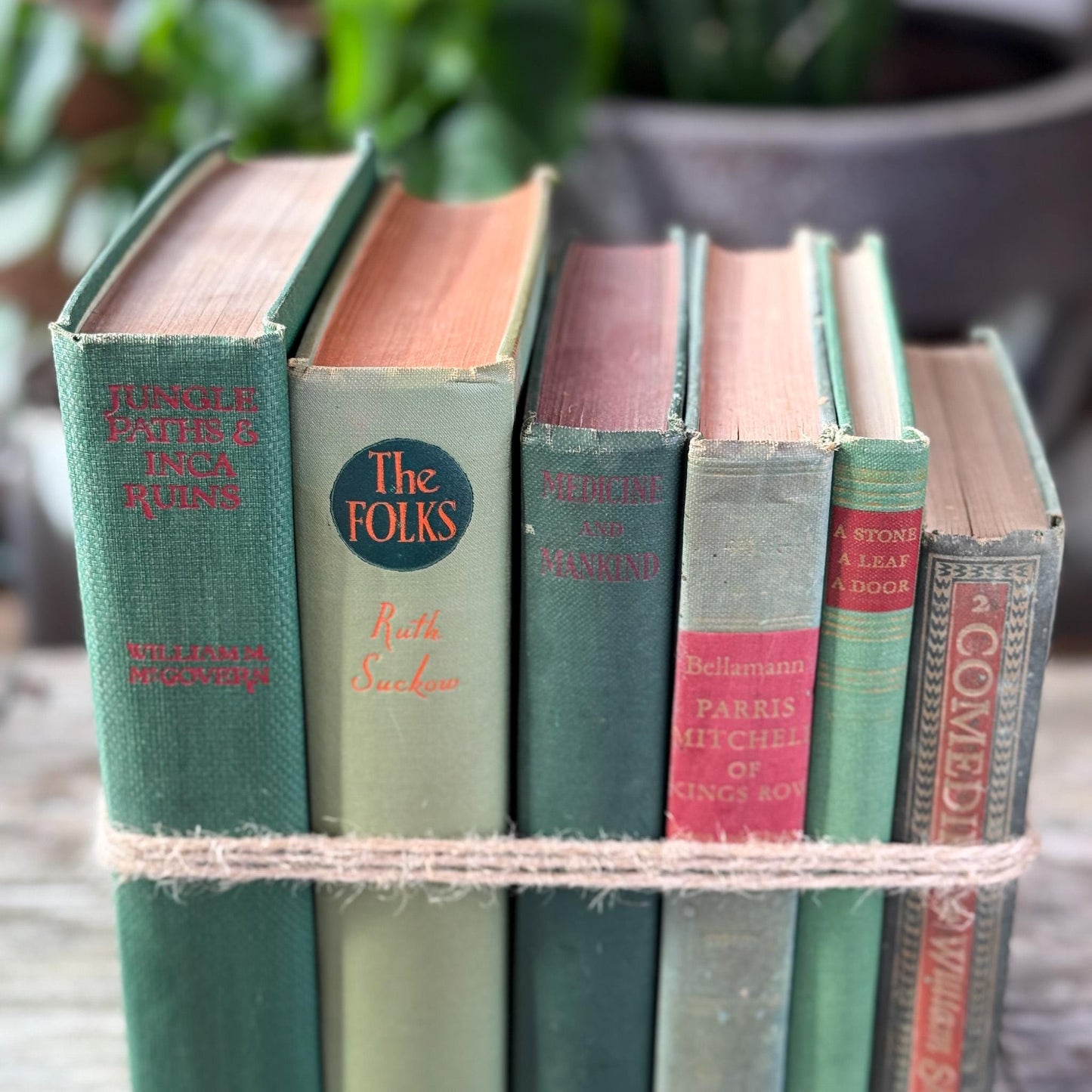 Vintage Olive Green Books for Mid Century Shelf Styling - Pretty Old Books