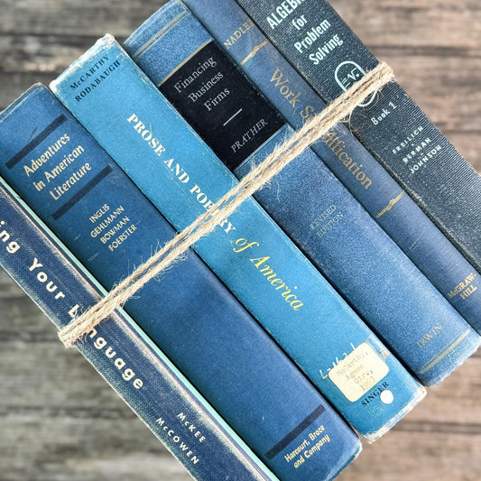 Vintage Oversized Blue Mid-Century Textbook Bundle For Shelf Styling - Pretty Old Books