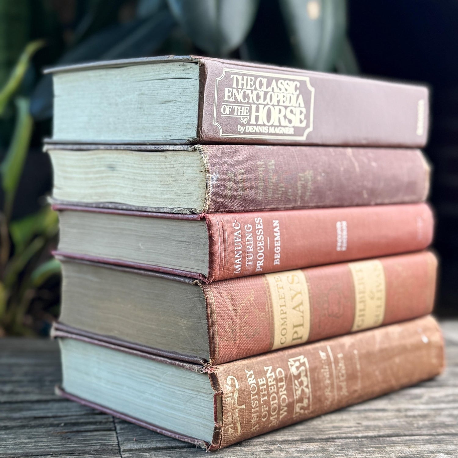 Vintage Oversized Book Bundle in Rich Brown, Rust & Terra Cotta - Pretty Old Books