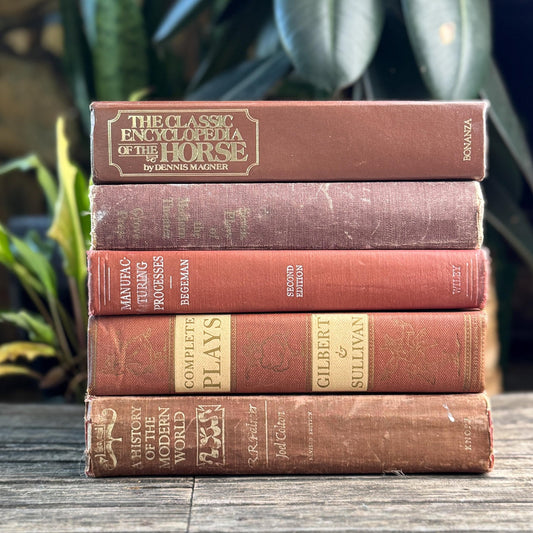 Vintage Oversized Book Bundle in Rich Brown, Rust & Terra Cotta - Pretty Old Books