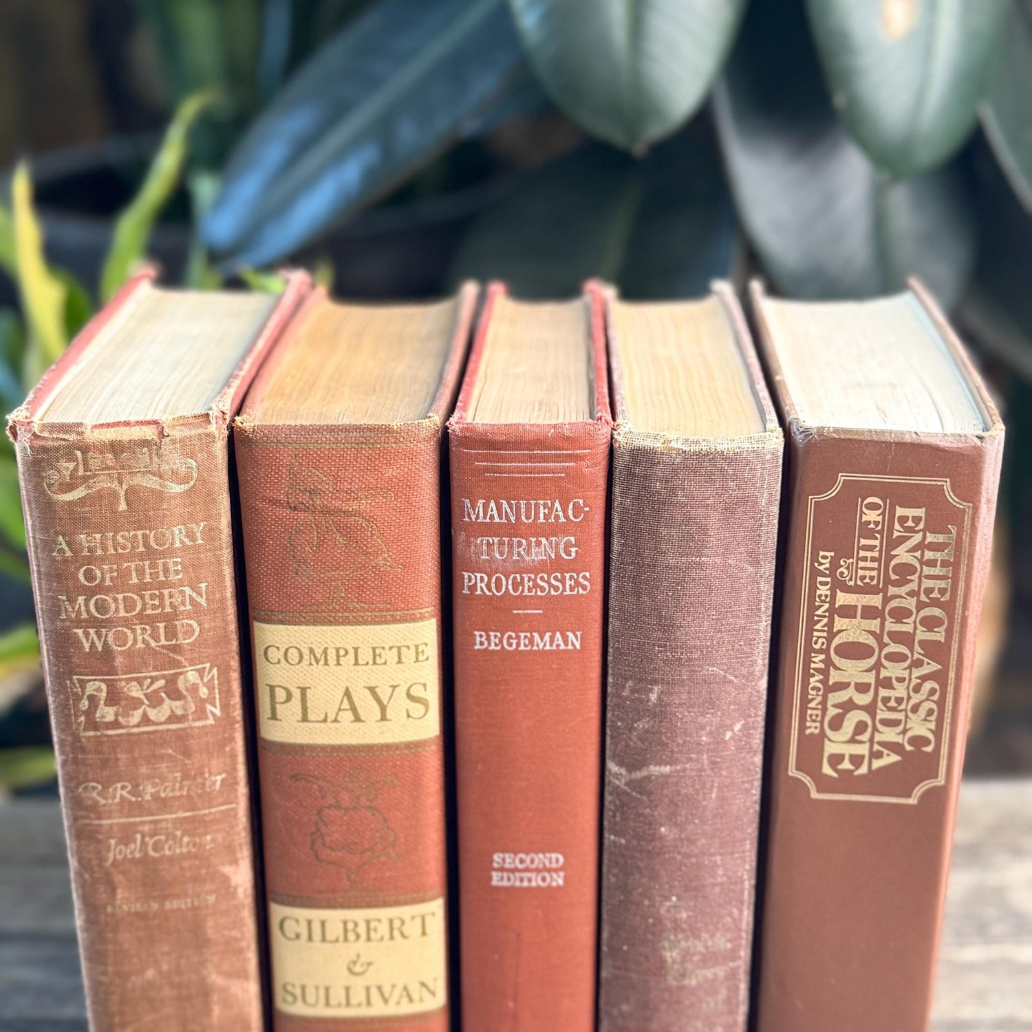 Vintage Oversized Book Bundle in Rich Brown, Rust & Terra Cotta - Pretty Old Books