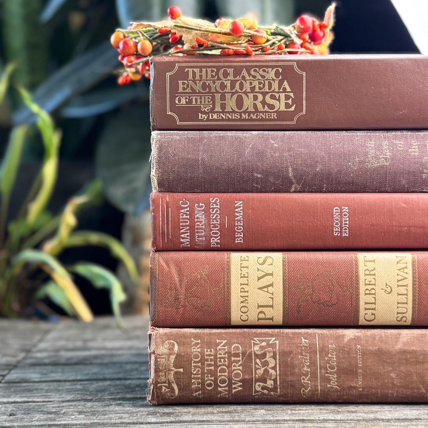 Vintage Oversized Book Bundle in Rich Brown, Rust & Terra Cotta - Pretty Old Books