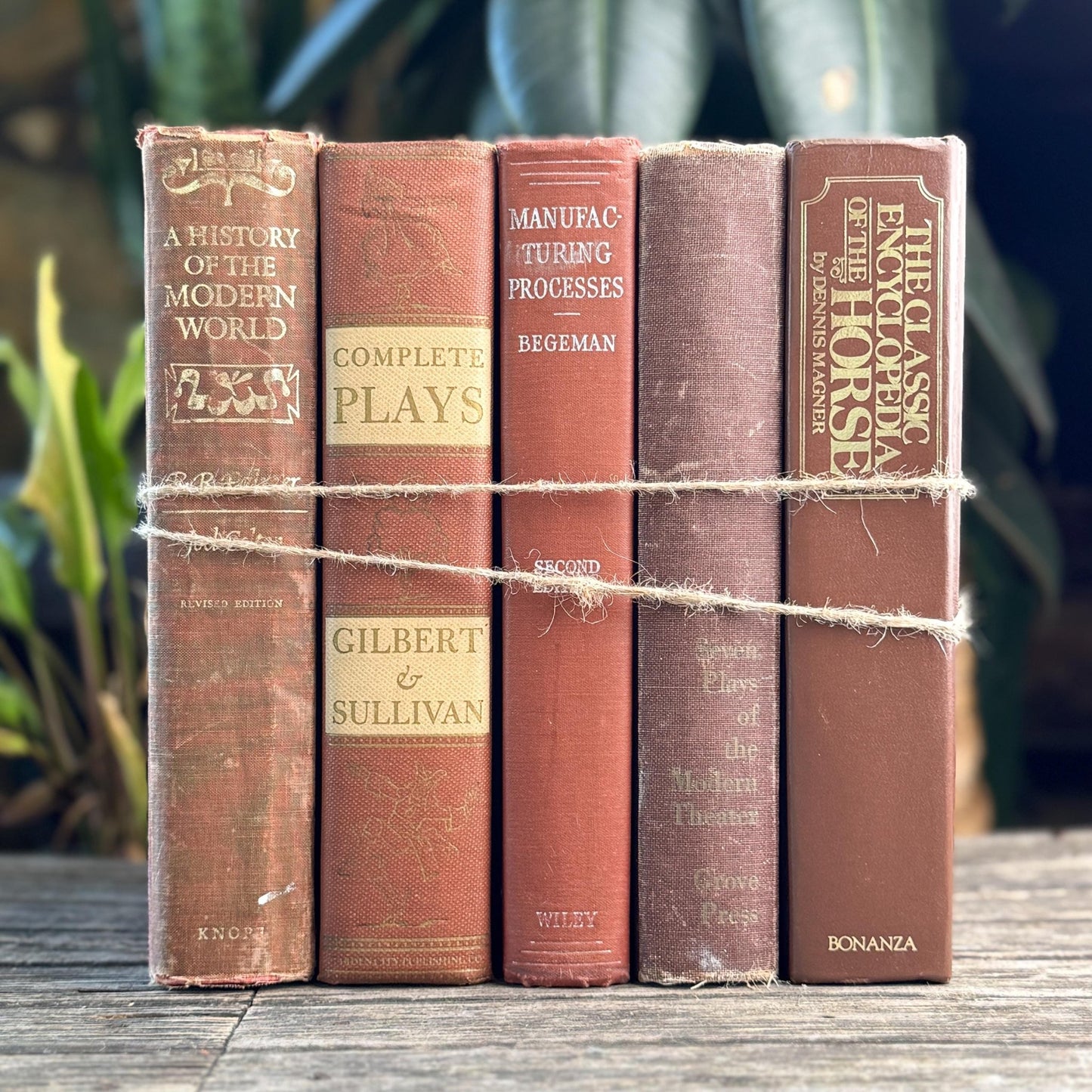 Vintage Oversized Book Bundle in Rich Brown, Rust & Terra Cotta - Pretty Old Books