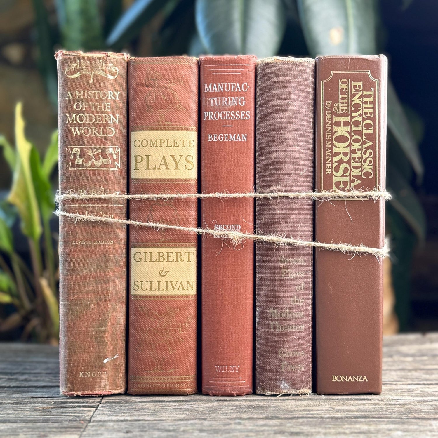 Vintage Oversized Book Bundle in Rich Brown, Rust & Terra Cotta - Pretty Old Books