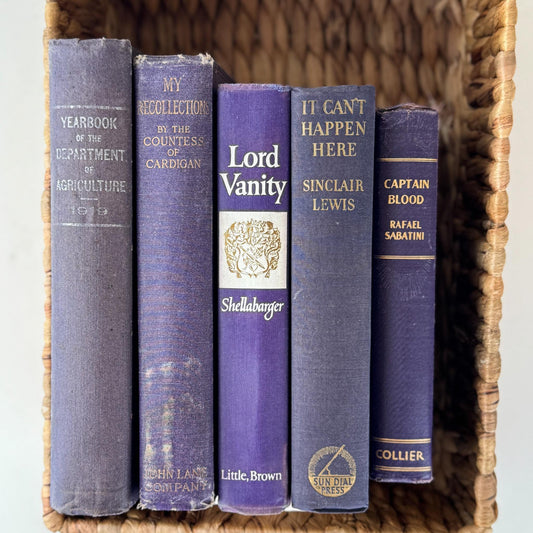 Vintage Purple Book Bundle for Colorful Shelf Styling - Pretty Old Books